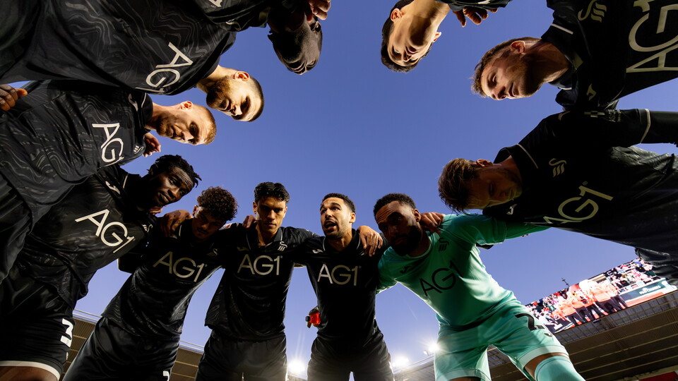 Swans huddle
