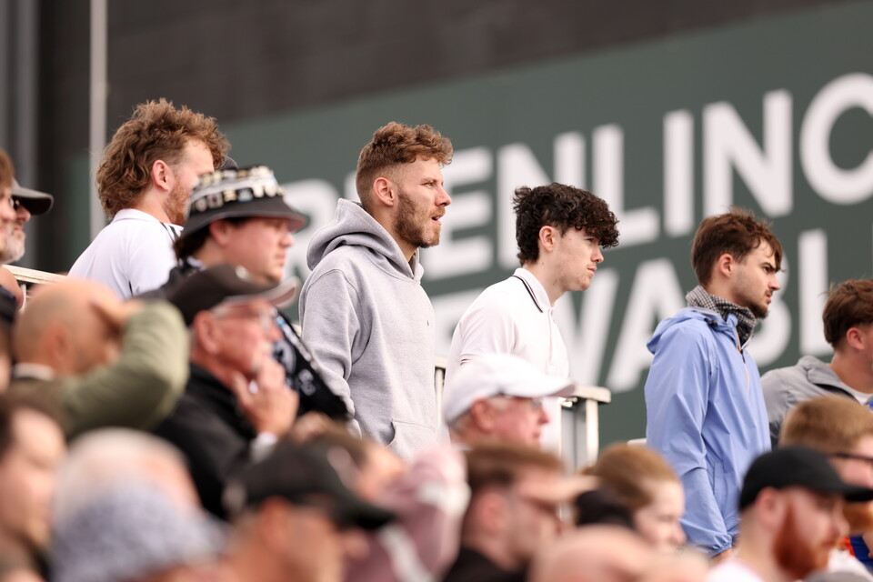 fan Gallery | Lincoln