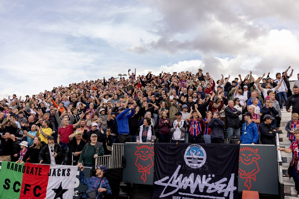 fan Gallery | Lincoln