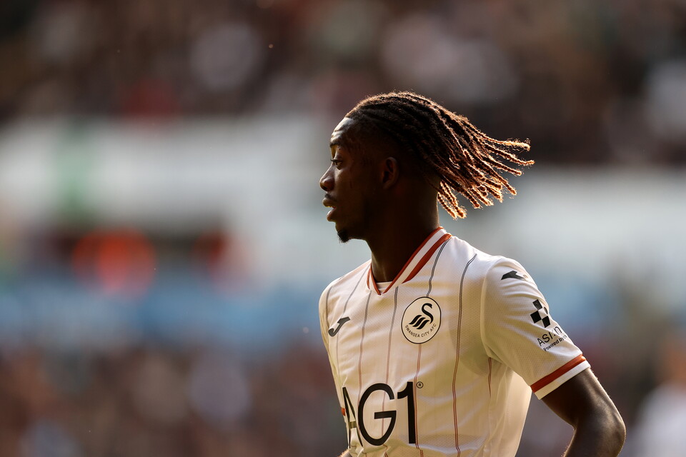 Gallery | Swansea City v West Ham