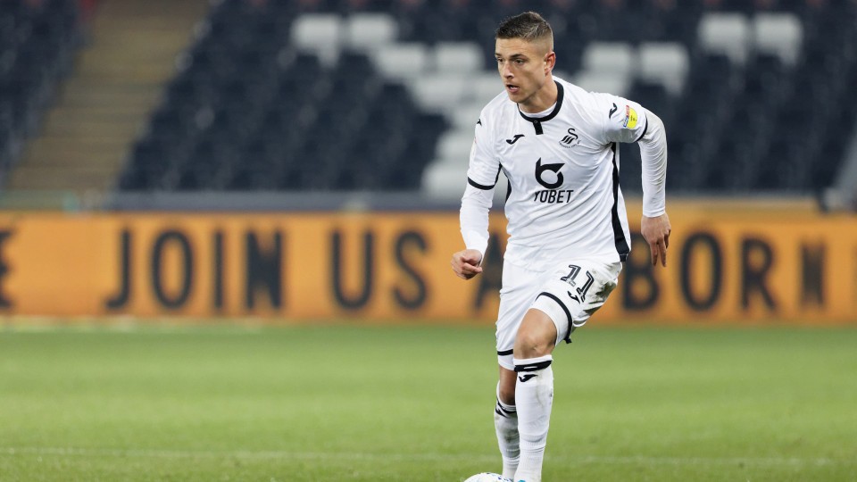 Brentford Kristoffer Peterson