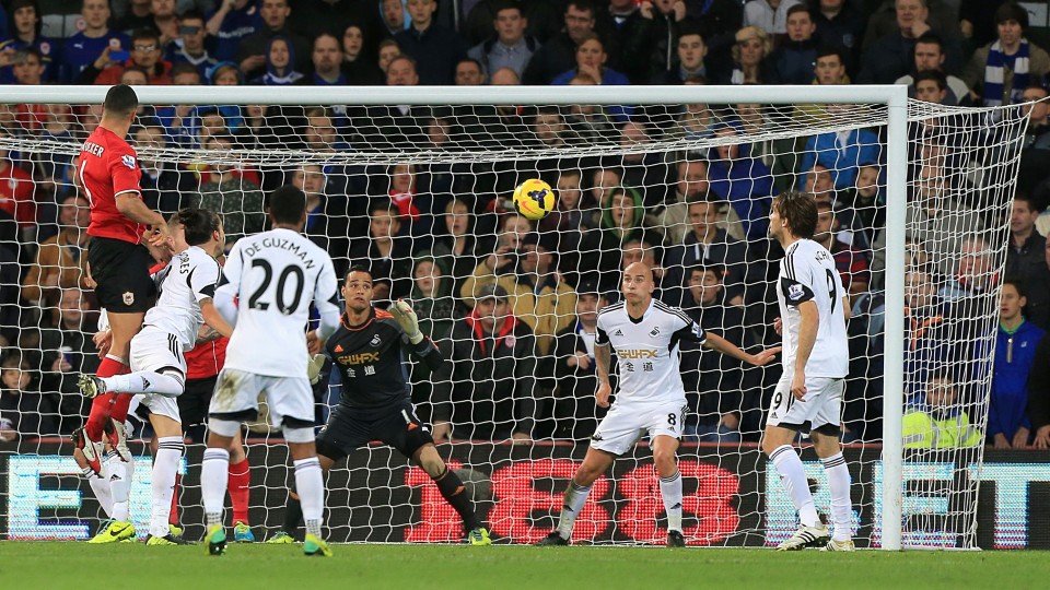 Cardiff Steven Caulker