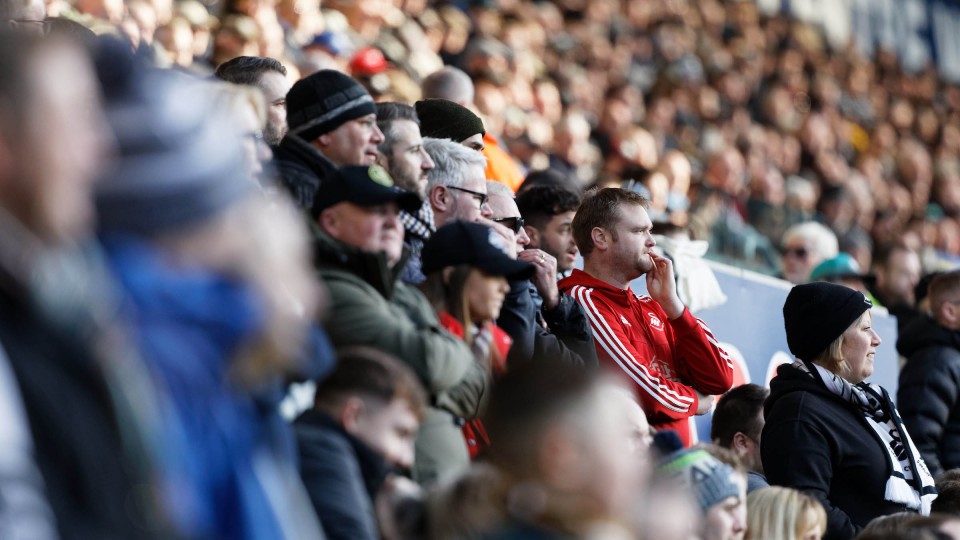 Swansea City fans