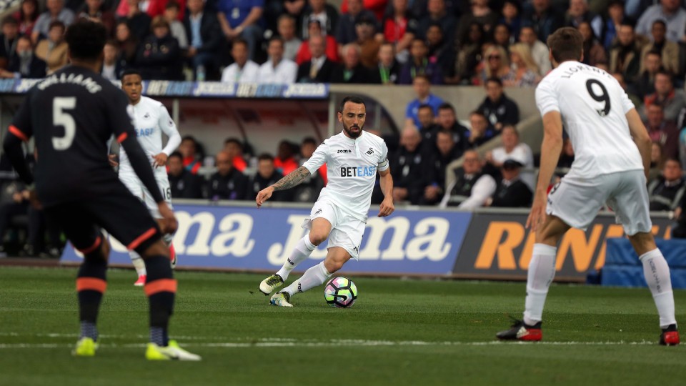 Leon Britton Everton