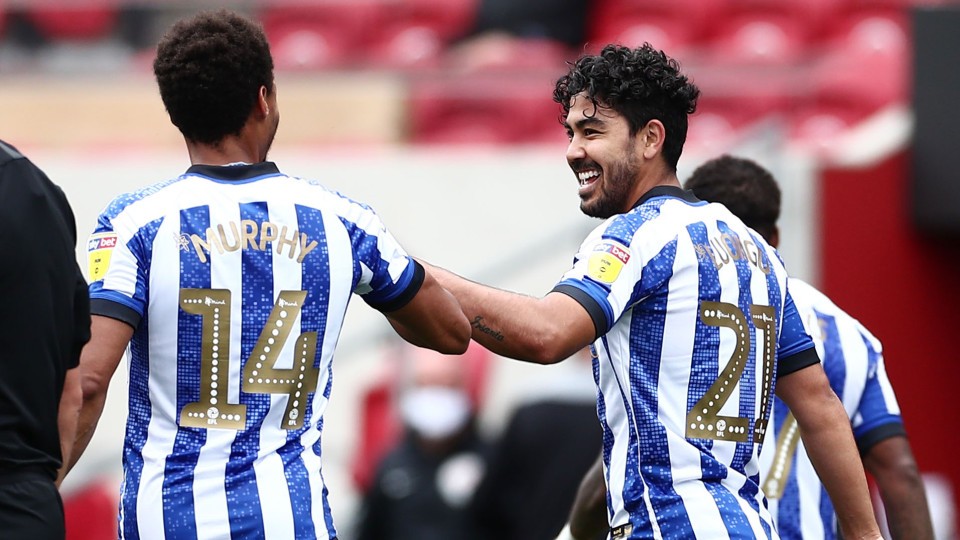 Massimo Luongo Sheffield Wednesday
