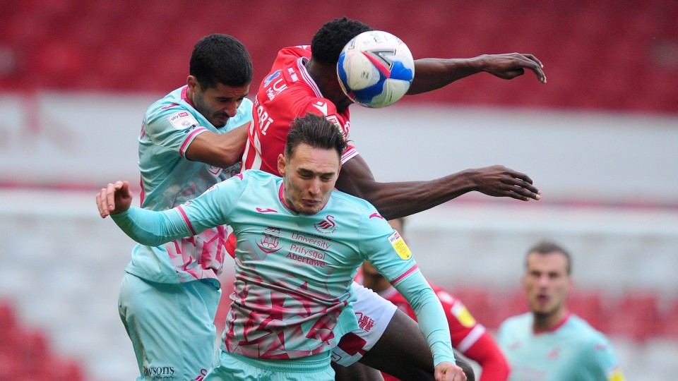 Connor Roberts Forest