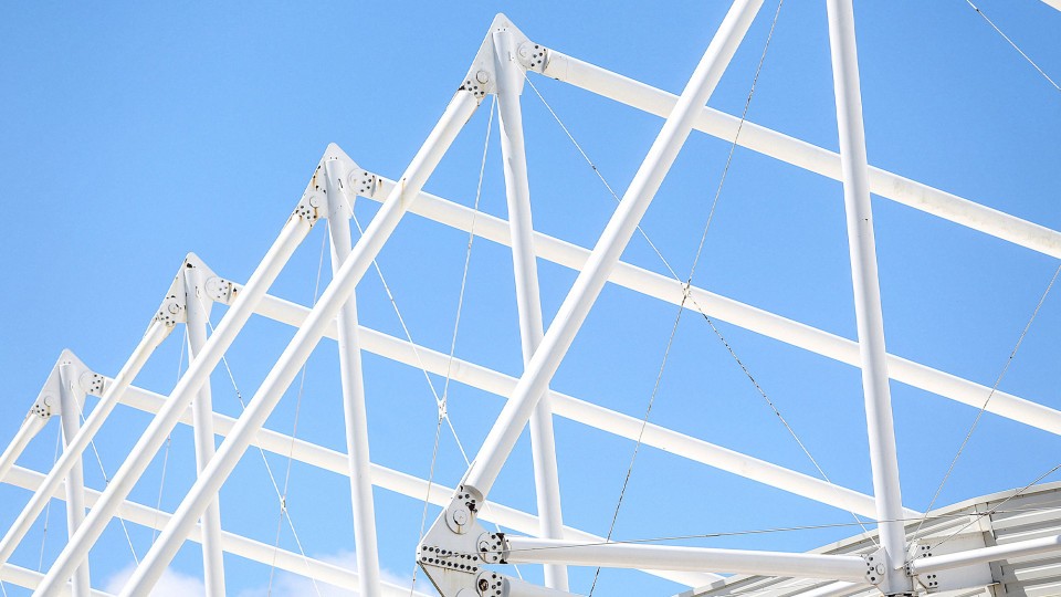 Swans Ownership Statement