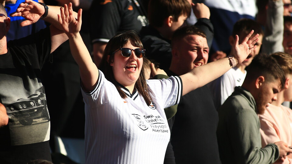 Swansea City fan