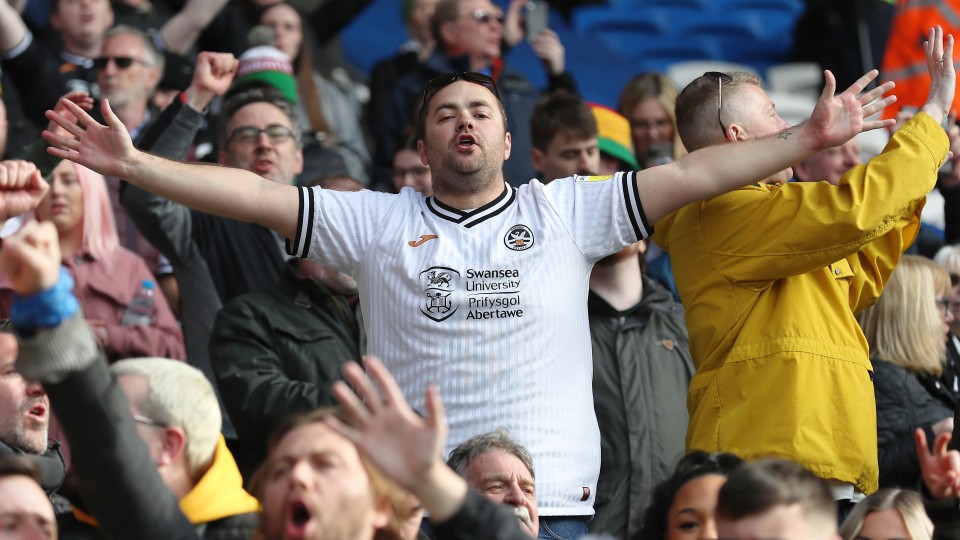 Swansea fans