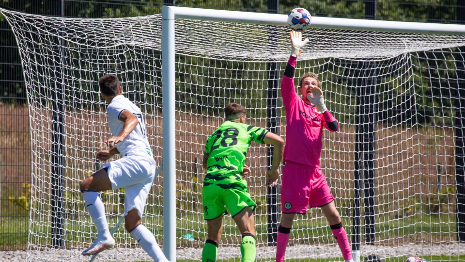 Forest Green friendly