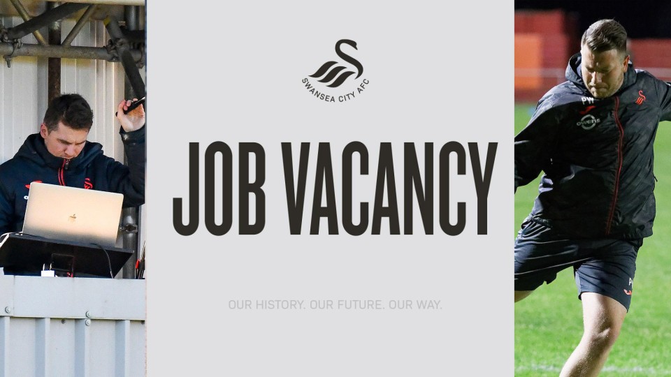Job Vacancy graphic - Academy