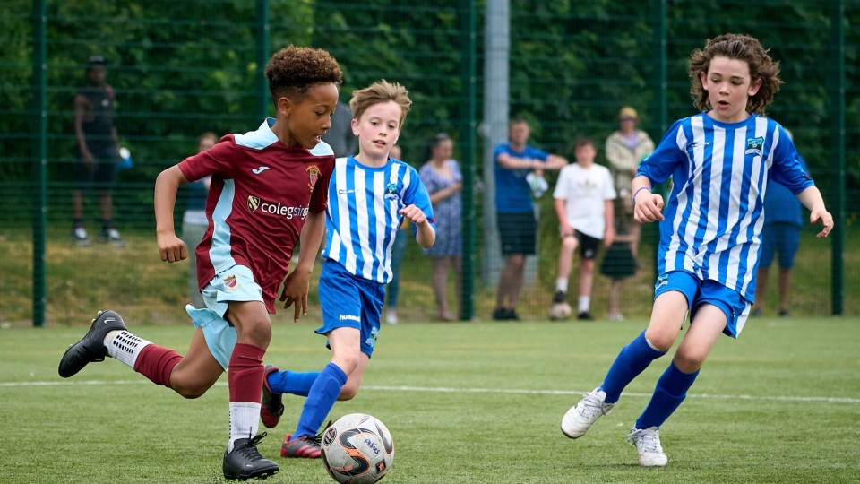 Dan Carroll Evans & Williams