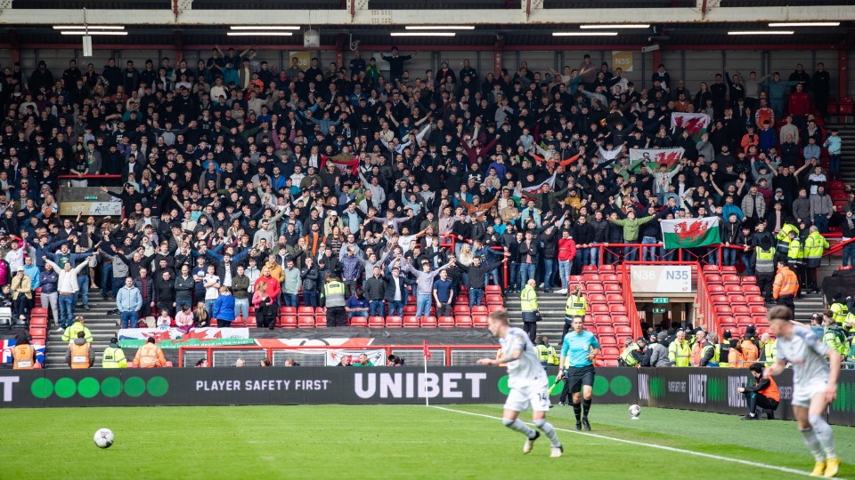 Bristol City away fans