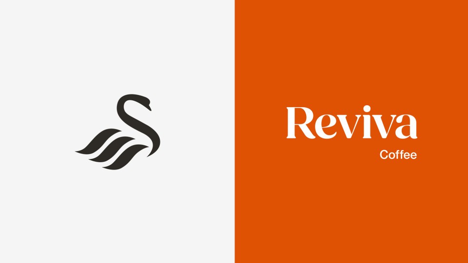 Reviva lockup 2024-25