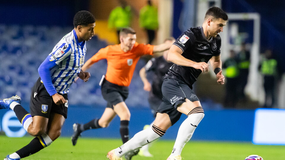 Žan Vipotnik Sheffield Wednesday