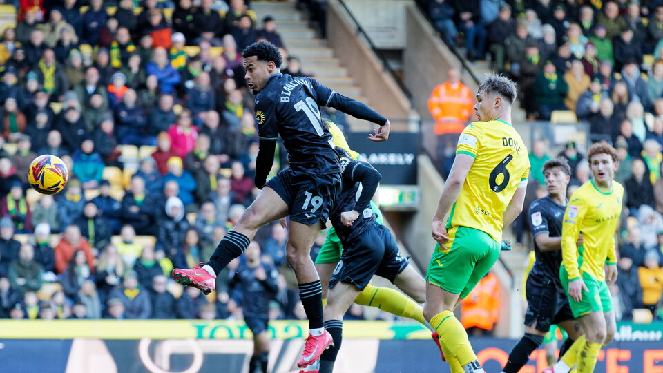 Florian Bianchini Norwich 