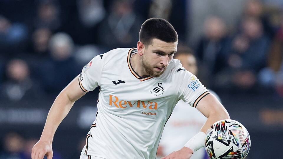 Žan Vipotnik Sheffield Wednesday