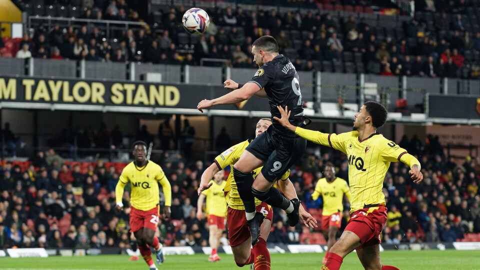 Žan Vipotnik Watford