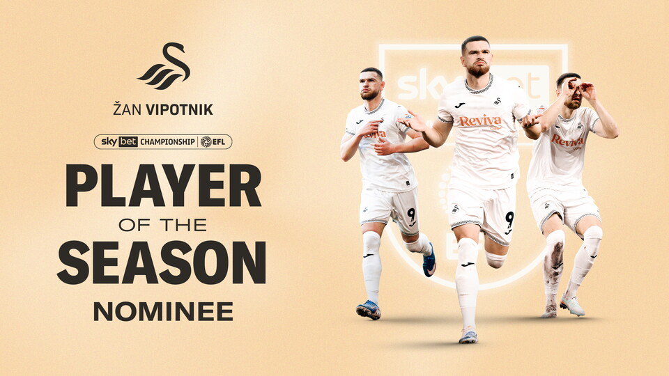 Vipotnik player of the season