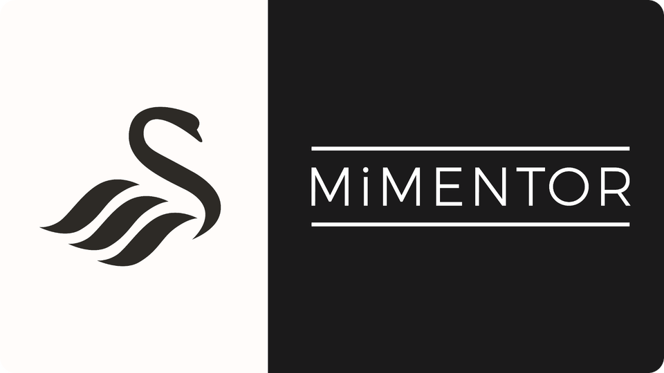 MiMentor lock up