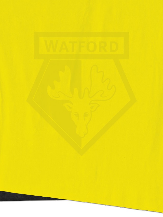 watford-meet-the-opposition-bg
