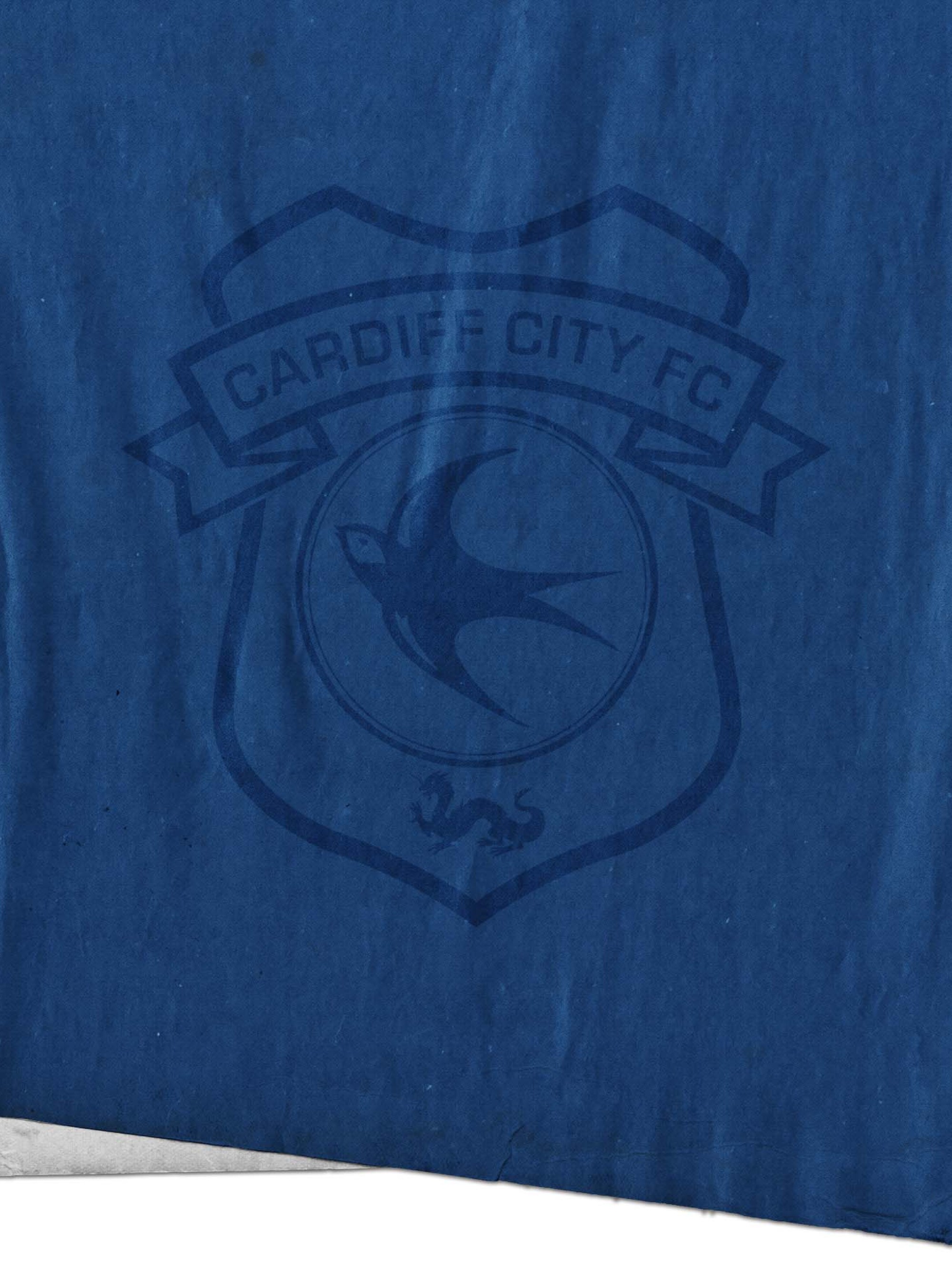 cardiff-meet-the-opposition