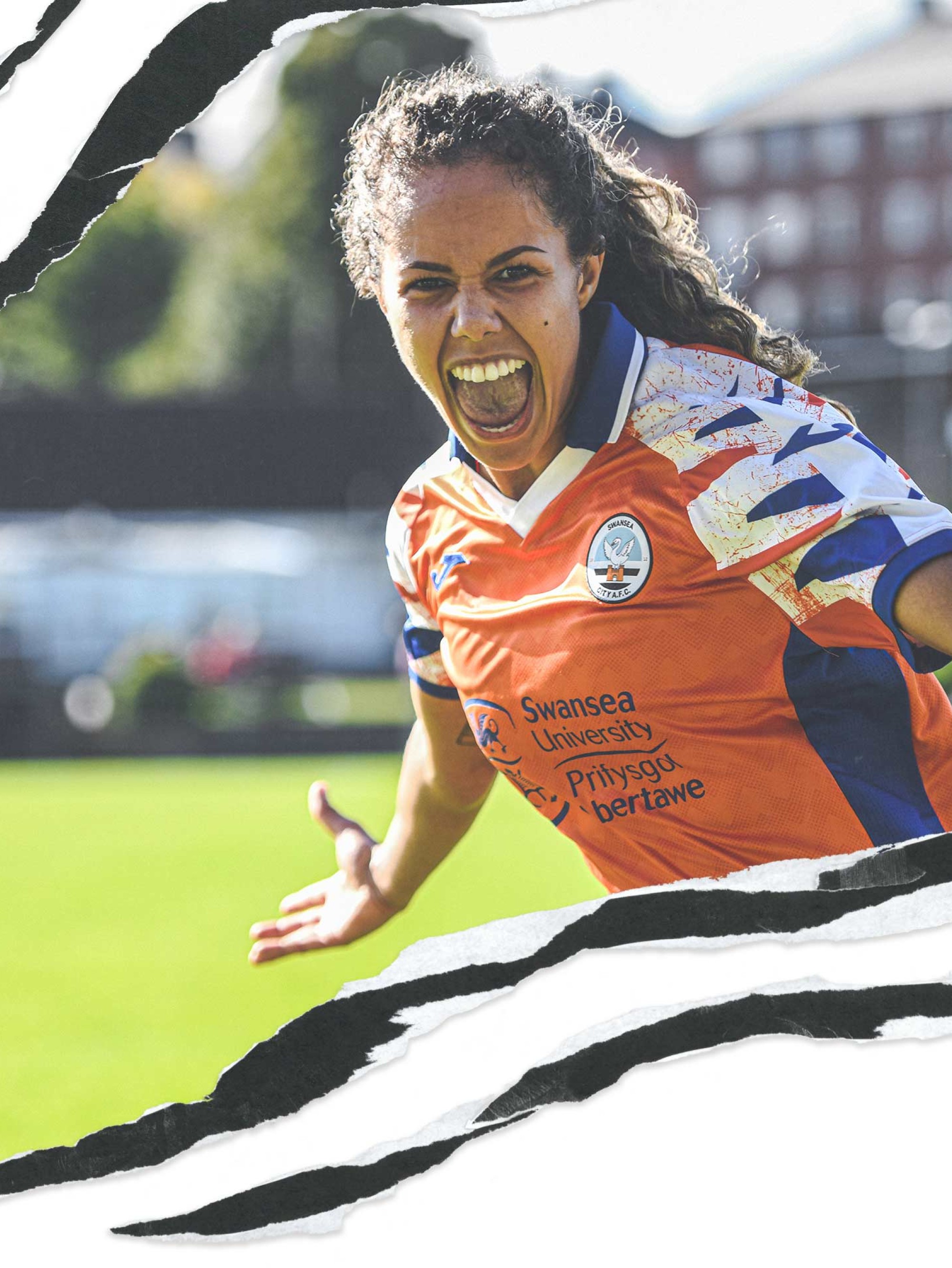 Swans Ladies Background