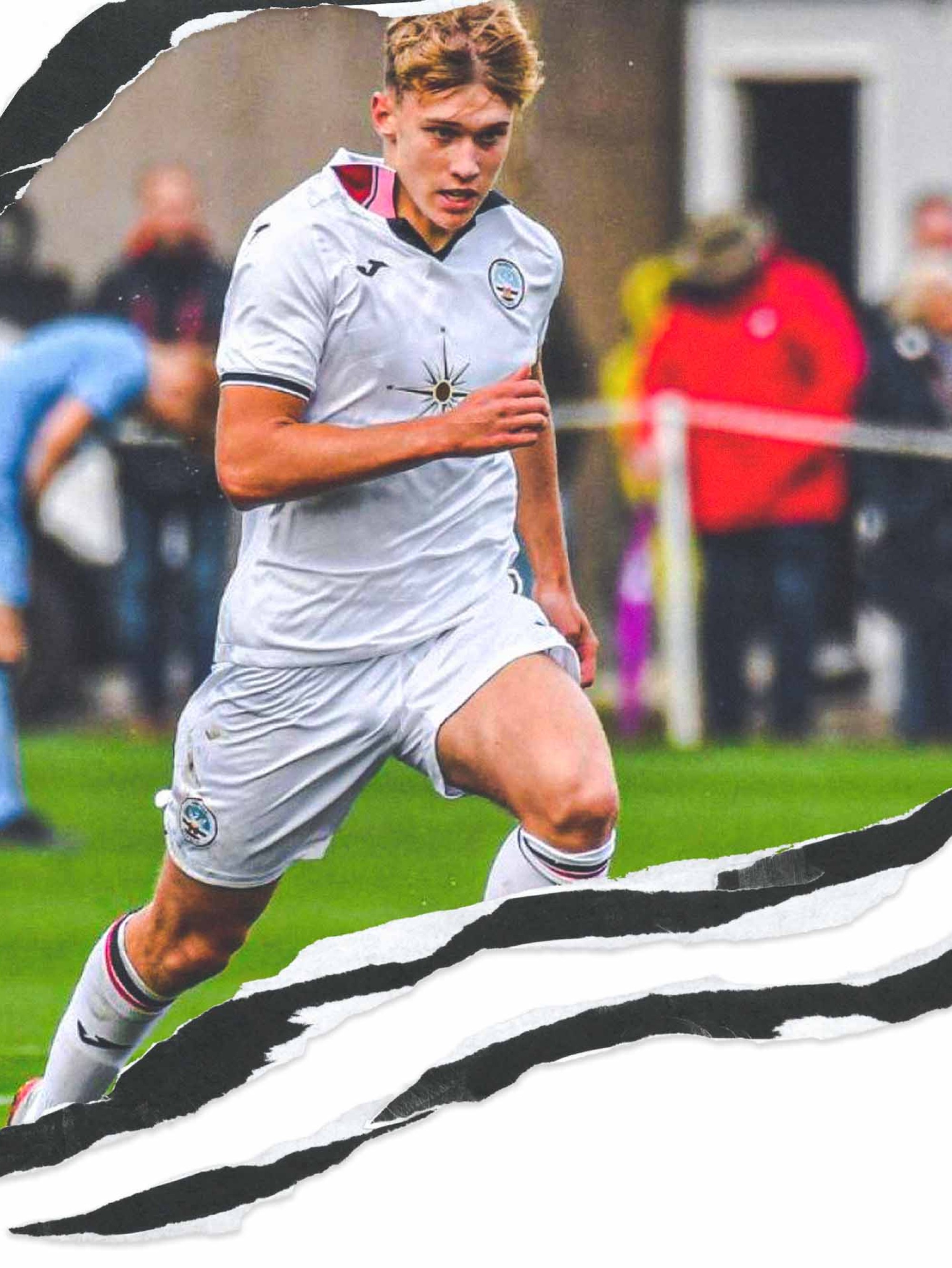 Charlton report background