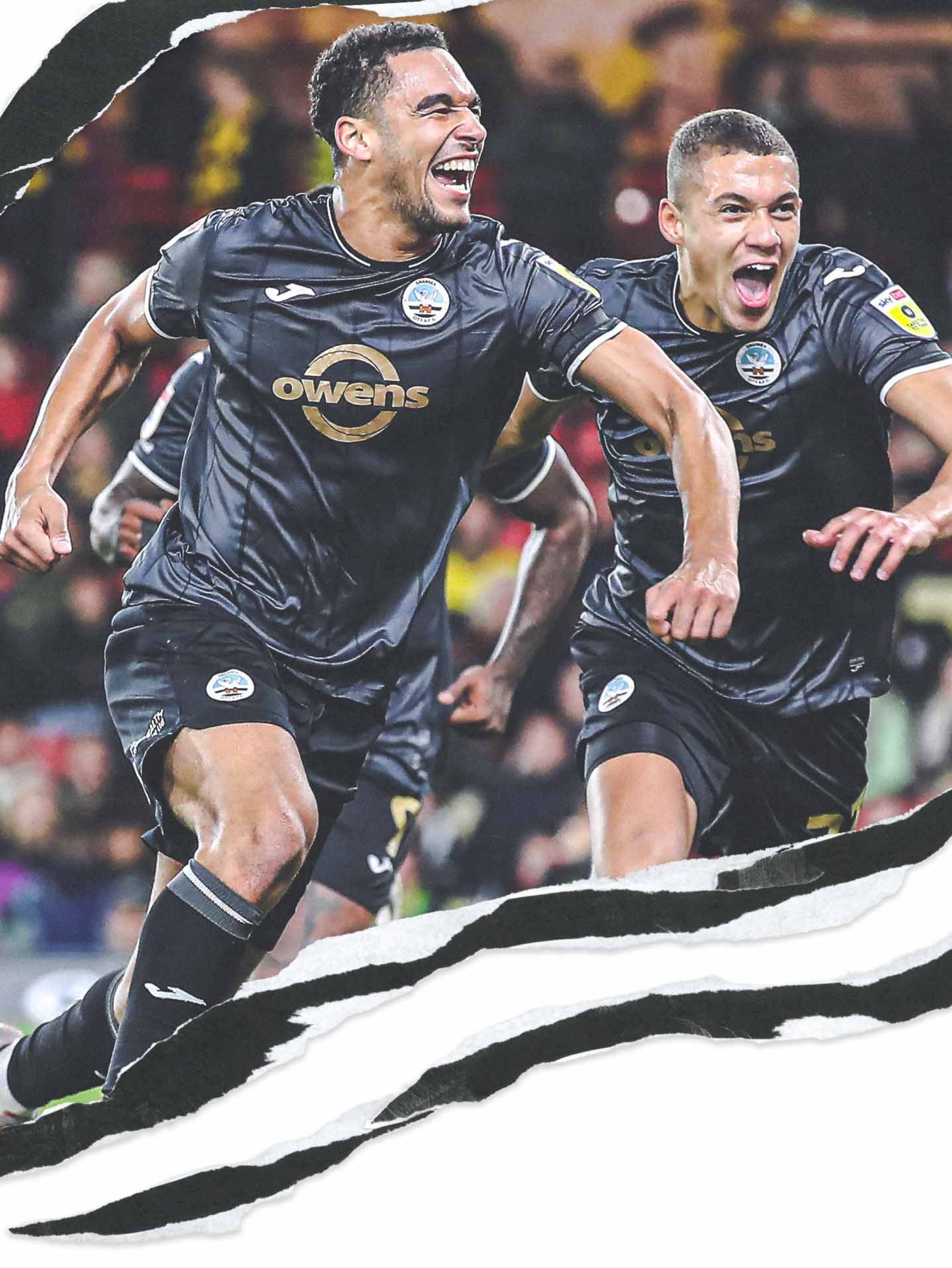 Watford Report Background