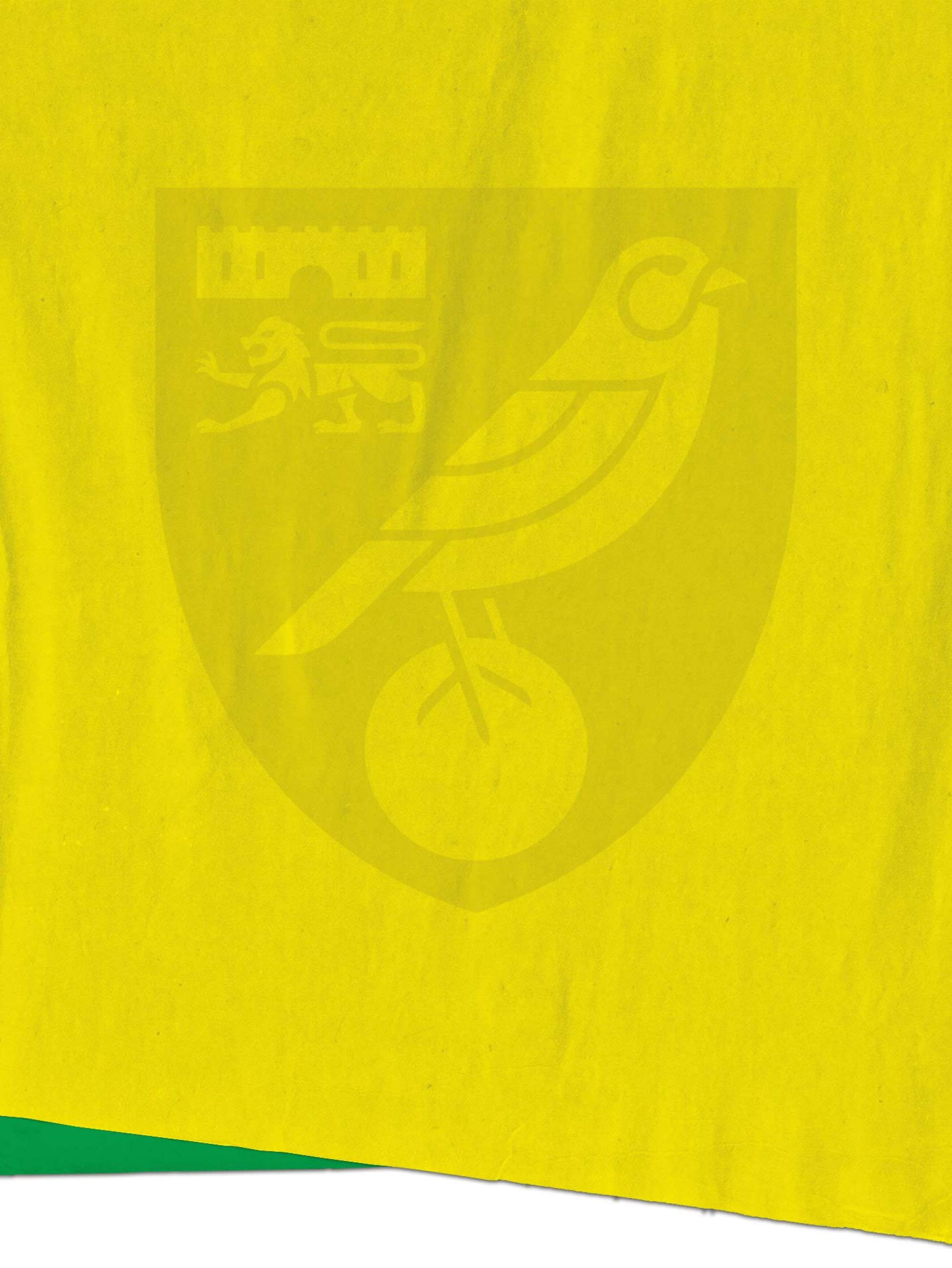 norwich-meet-the-opposition-bg