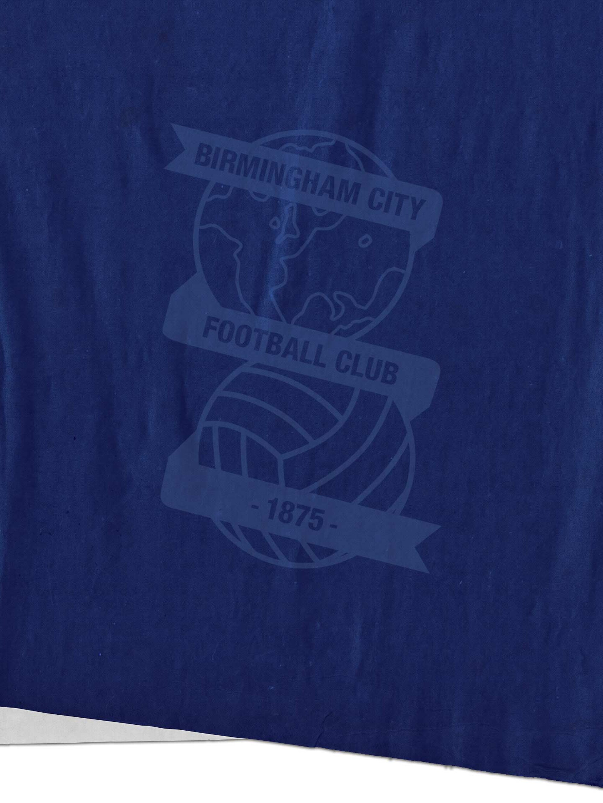 brimingham-meet-the-opposition-bg