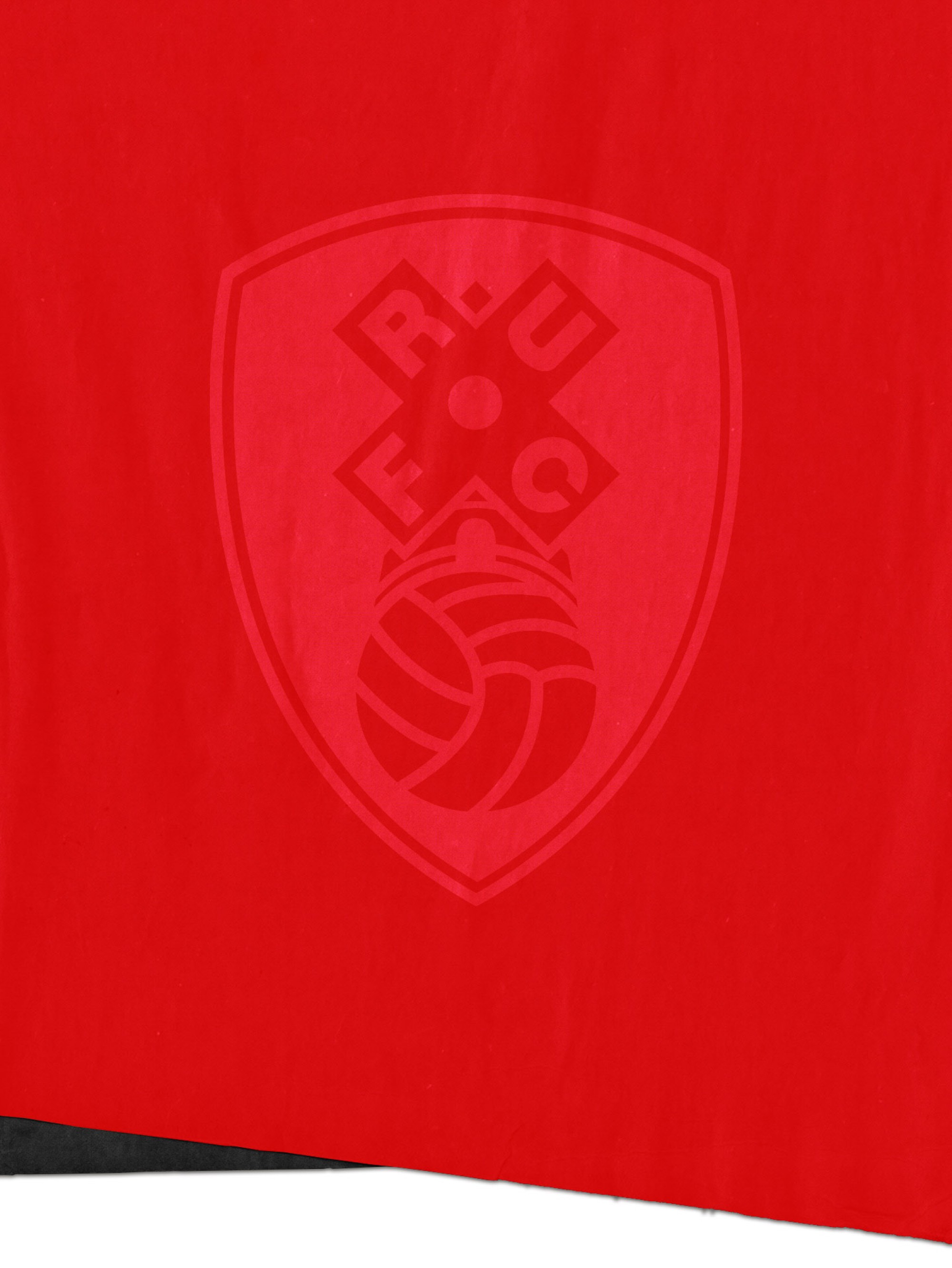 Background Image of Rotherham Badge on Flag