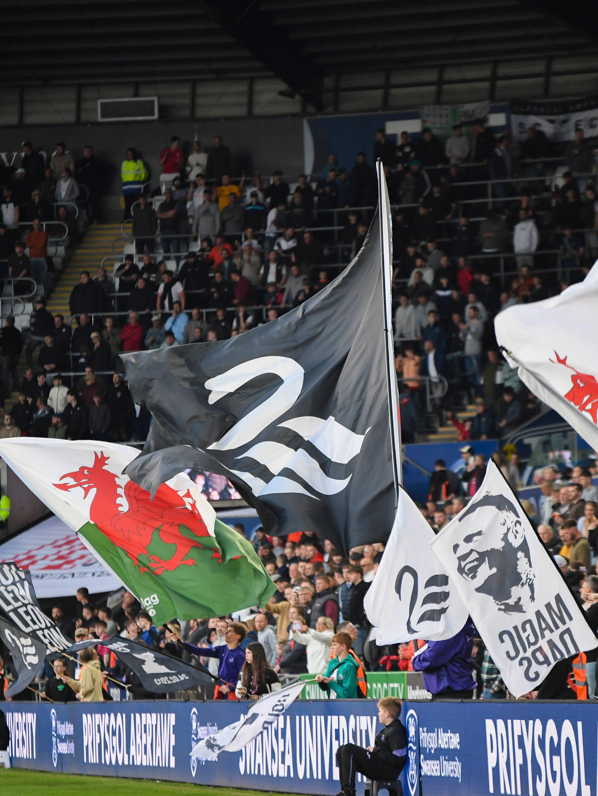 Swans flag wall