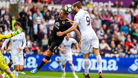 Fernando Llorente Everton
