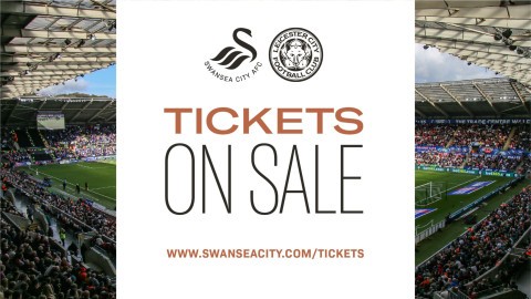 Leicester City home graphic