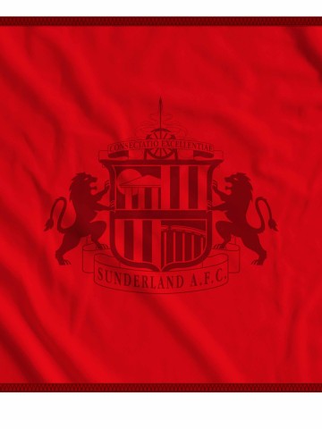 Sunderland Meet the Opposition
