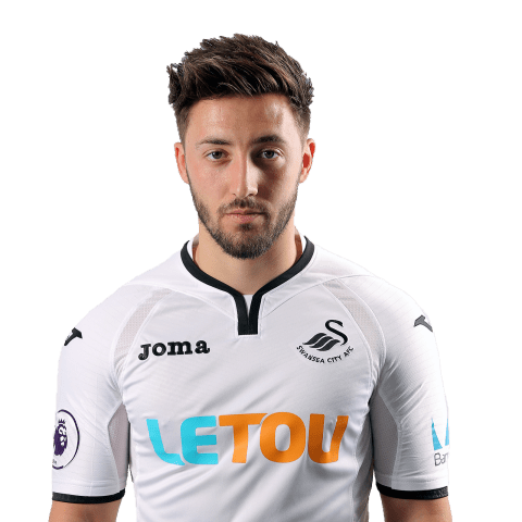 Josh Sheehan - PNG Profile | Swansea