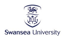 Swansea University