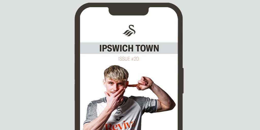 www.swanseacity.com