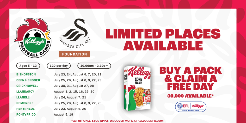www.swanseacity.com