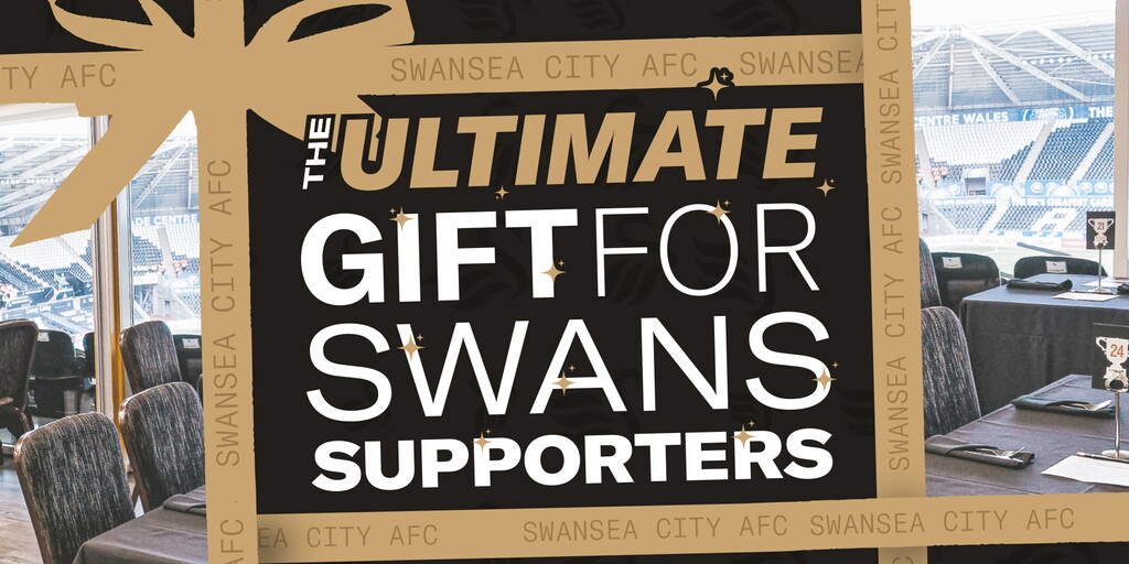 www.swanseacity.com