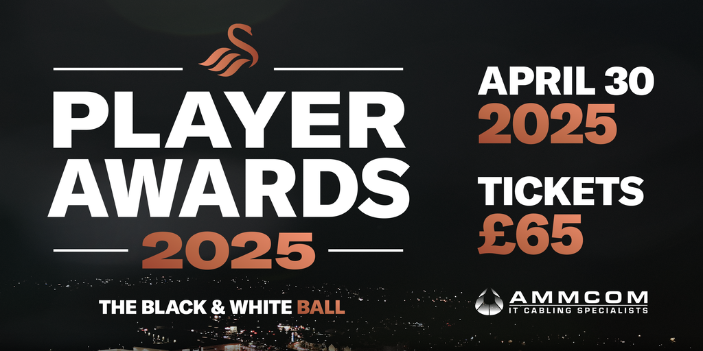 www.swanseacity.com