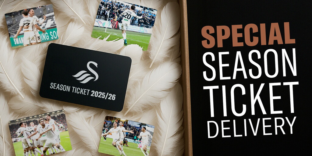 www.swanseacity.com