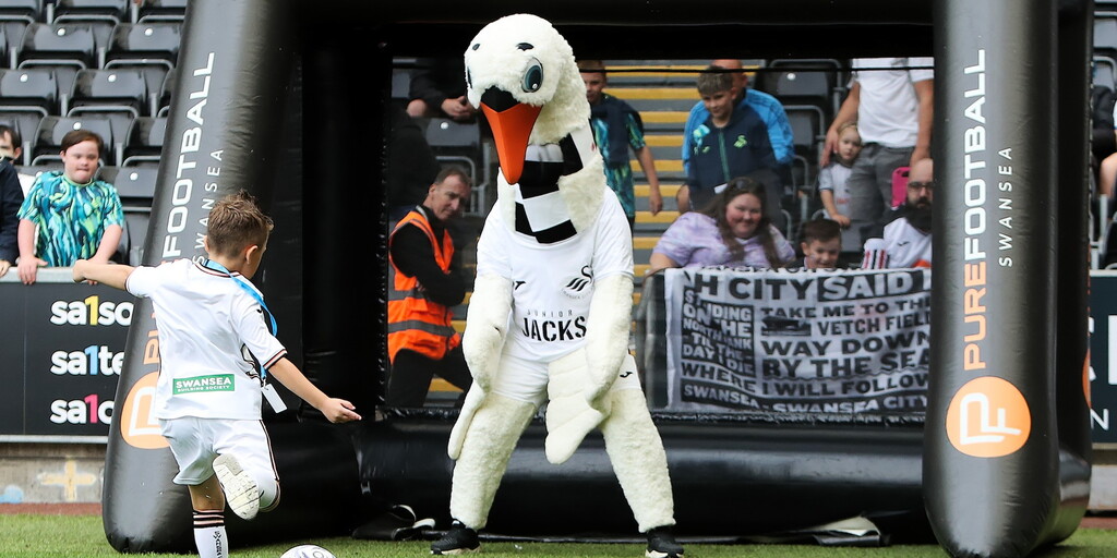 www.swanseacity.com
