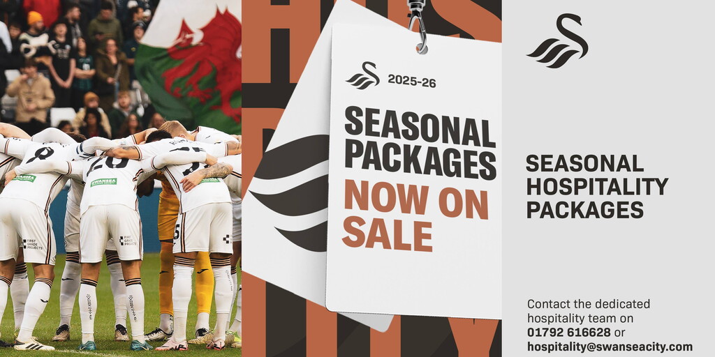 www.swanseacity.com