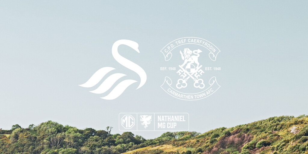 www.swanseacity.com