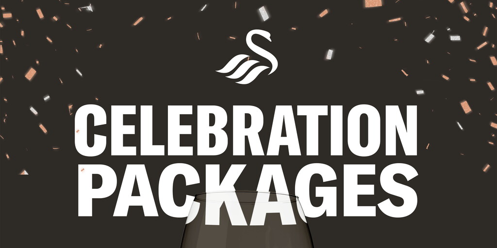 www.swanseacity.com