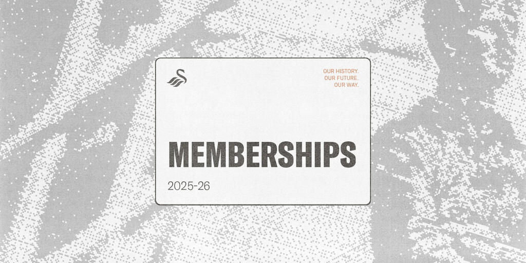 www.swanseacity.com