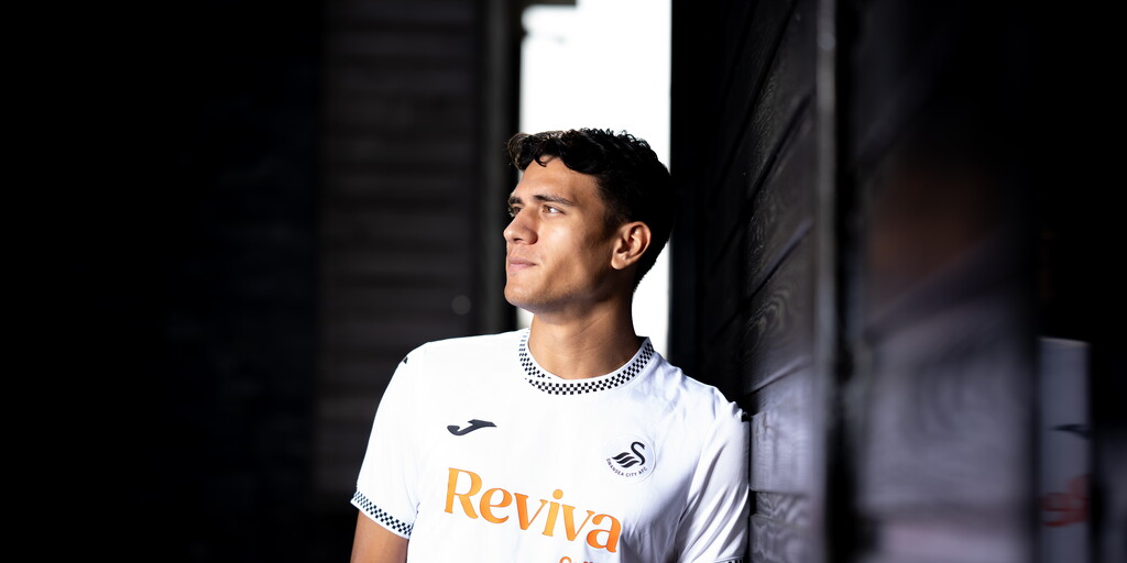 www.swanseacity.com