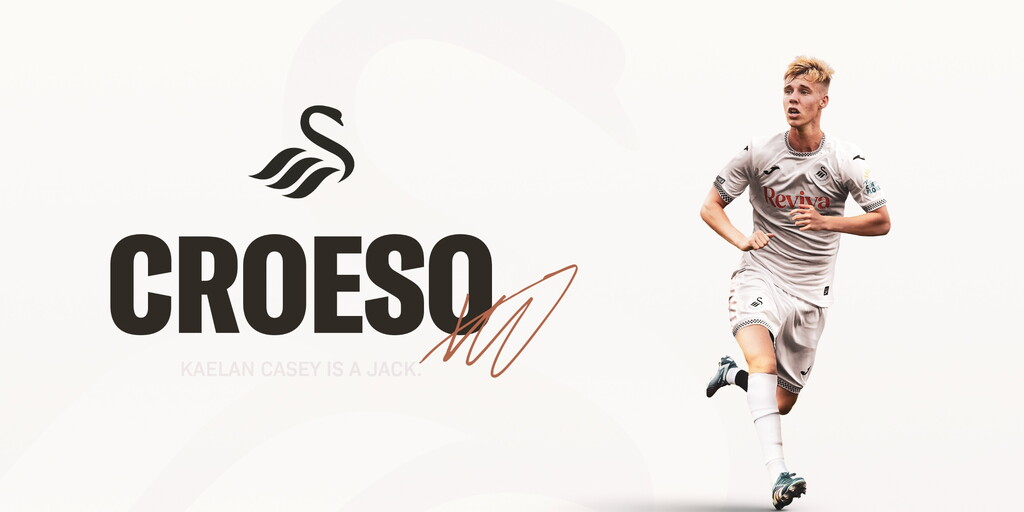 www.swanseacity.com